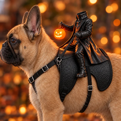 🎃 Déguisement Cavalier sans tête pour chien et chat