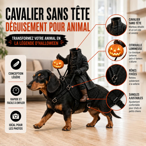 🎃 Déguisement Cavalier sans tête pour chien et chat